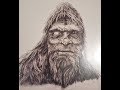 A Sasquatch Experience, A Special Message And Updates