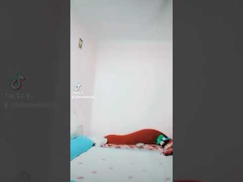 دي جي عمرو حاحا