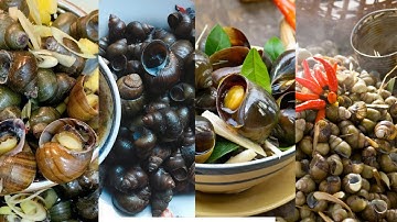 PHÂN BIỆT ỐC BƯƠU - BƯƠU VÀNG - ỐC LÁC - ỐC GẠO - ỐC ĐẮNG|| COI CHỪNG MUA NHẦM CON ỐC CHỈ CHO VỊT ĂN