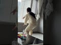 Hilarious Laughter Compilation: Giggle Attack