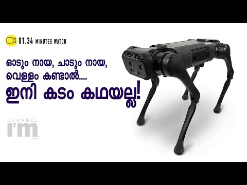 കൂട്ടിനായുണ്ട് ഈ റോബോട്ട്, പരിചയപ്പെടാം Unitree Go1 റോബോട്ടിനെ | Quadrupedal Robots At Best Prices