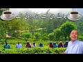 How Tea Is Made | The Whole Process Of Tea | Mubashir Saddique | Village Food Secrets