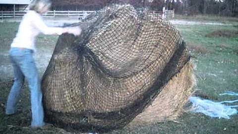 Cinch Net with new Cinch Strap