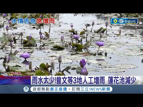 快渴死了... 把握零星鋒面通過 曾文水庫等3地人工增雨 台南白河蓮田難耕作 蓮花池減少"恐剩150公頃"│記者 王紹宇 朱怡蓉│【台灣要聞】20230206│三立iNEWS