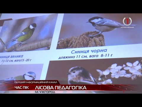 Близько півсотні юннатів відзначали день птахів в Ужгородському замку