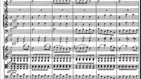 Gioacchino Rossini - Variations for clarinet and orchestra