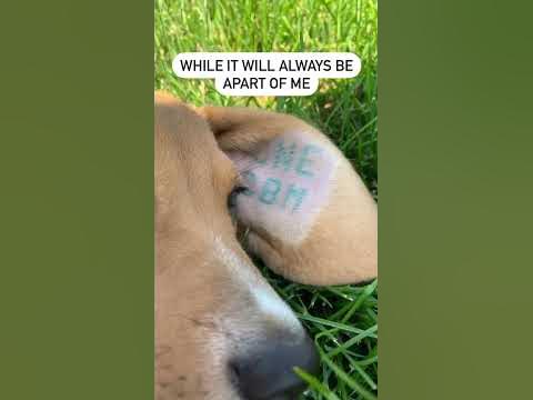 Winnie says let’s end animal testing