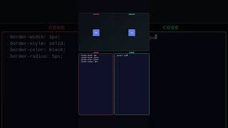 Junior vs Senior: Border Basics!