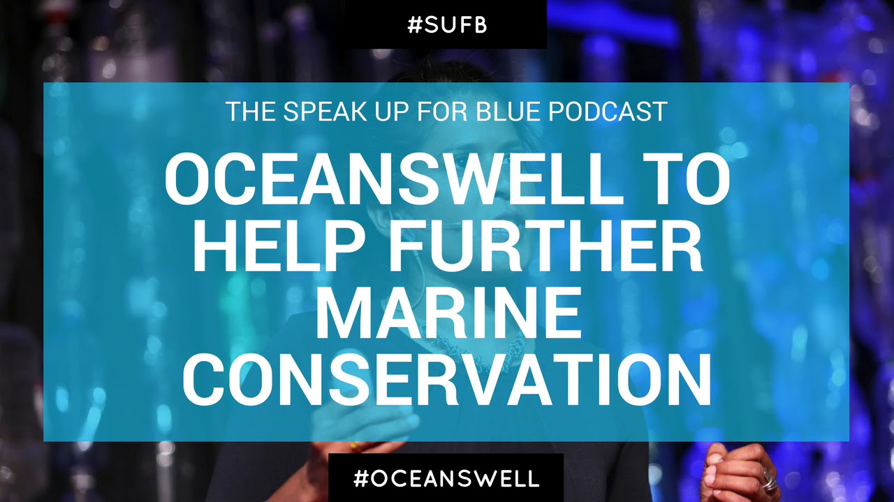 Blue Whale Conservation via Oceanswell with Dr. Asha de Vos