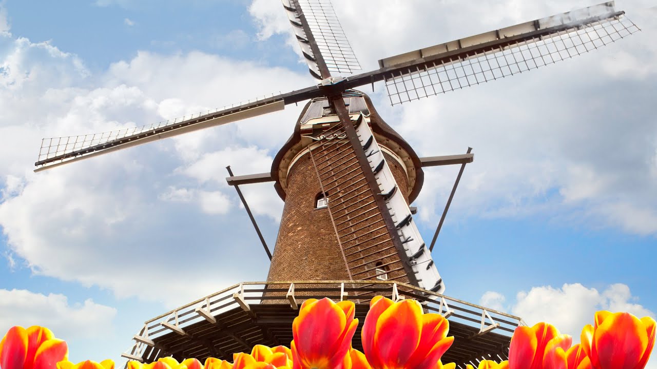 viking river cruises tulips and windmills itinerary