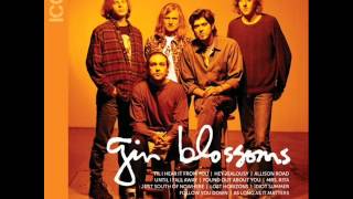 Vignette de la vidéo "Gin Blossoms - Lost Horizons"