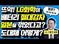 한국이 휩쓸고 있는 배터리 시장, 반도체급 초대박이 터질 수 있을까? 300조 이차전지 시장이 열린다!