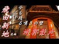 ♯19遊郭散走「飛田新地(旧飛田遊郭)後編」メインエリアを往く 大阪府 大阪市西成区