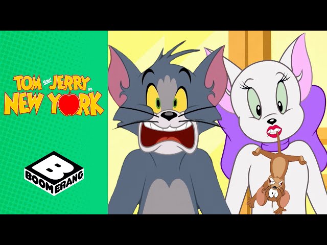 When Tom Found a Partner to Help Him in Catching Jerry | Tom & Jerry in New York | Boomerang UK class=