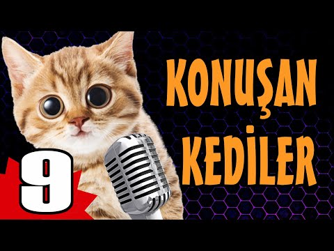 Bayram Özel Konuşan Kediler 9 - En Komik Kedi Videoları