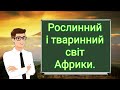 Рослинний і тваринний світ Африки. Природознавство четвертий клас.