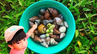 FUNNY! Looking for Snails And Found Many Albino Snail Shells [Snail Snail & Hermit crabs]