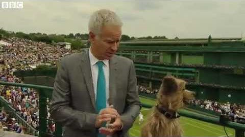 Hacker the Dog squares up to John McEnroe