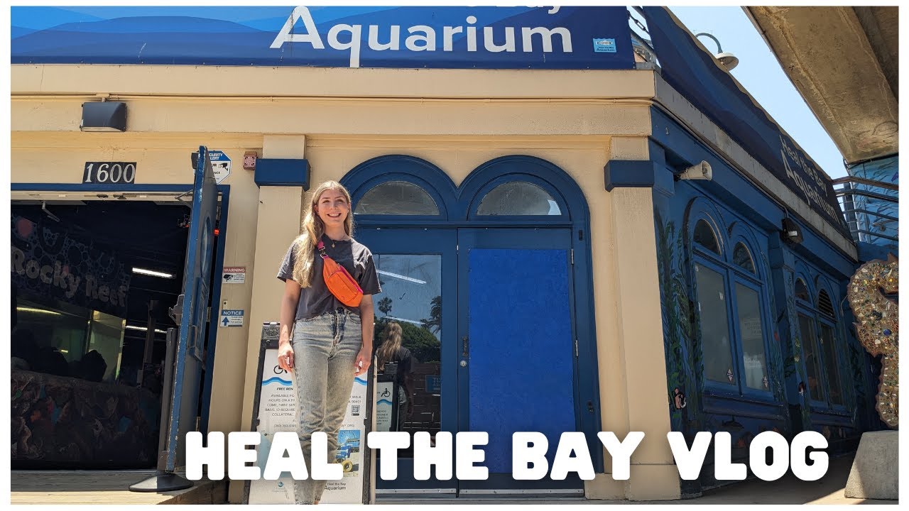 Heal the Bay Aquarium at Santa Monica YouTube