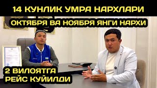 картинка: 14 КУНЛИК УМРА НАРХЛАРИ 2025 ОКТЯБРЯ ВА НОЯБРЯ ОЙЛАРИ НАРХЛАРИ МАЛУМ БУЛДИ 