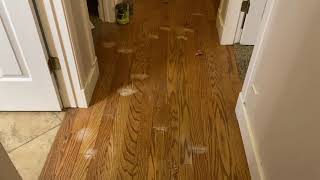 Water Damaged Laminate Flooring-How To Fix It (Without Replacing It)