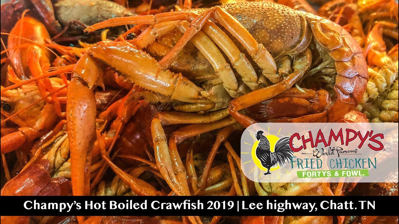 Champys Hot Boiled Crawfish 2019 - Lee Highway, Chattanooga, TN - YouTube