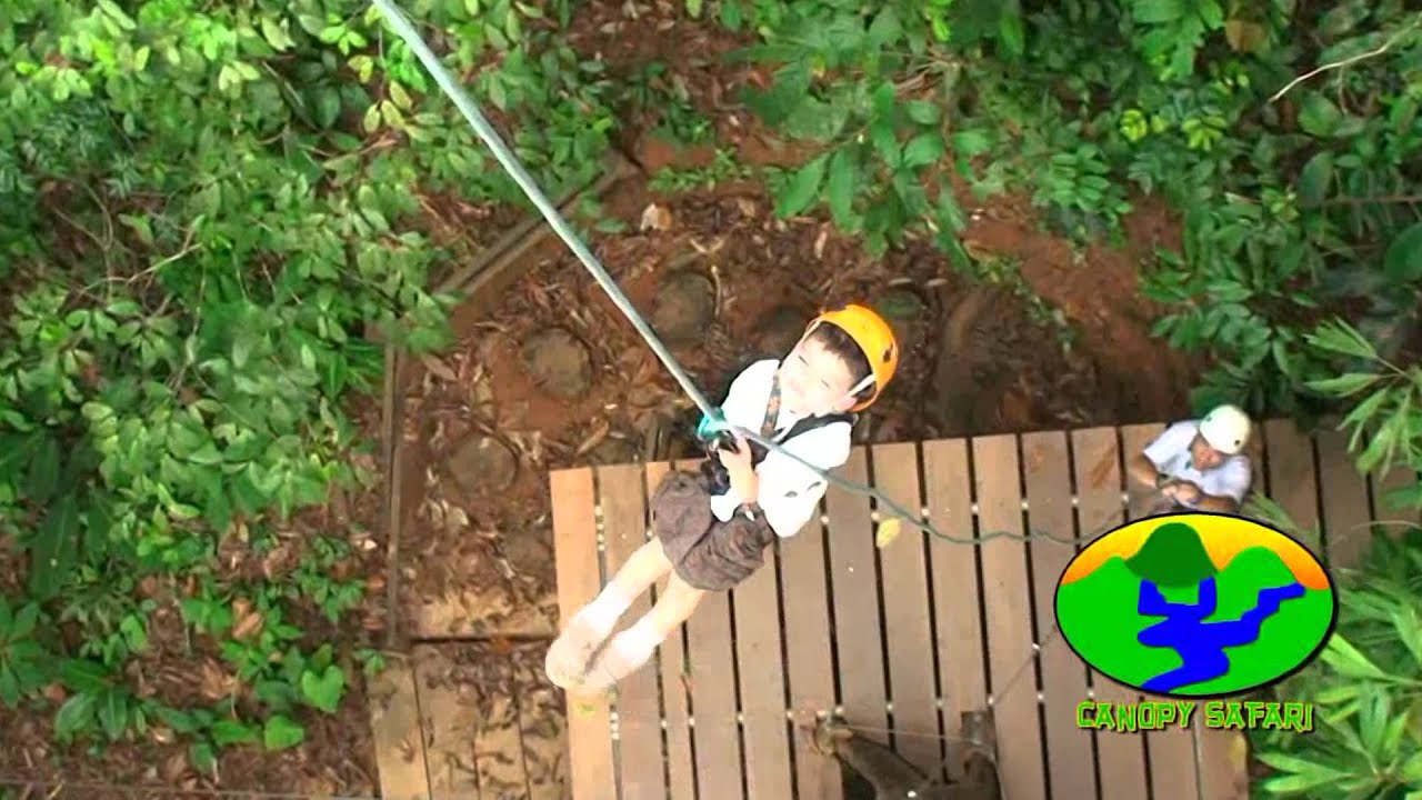 Canopy Safari 