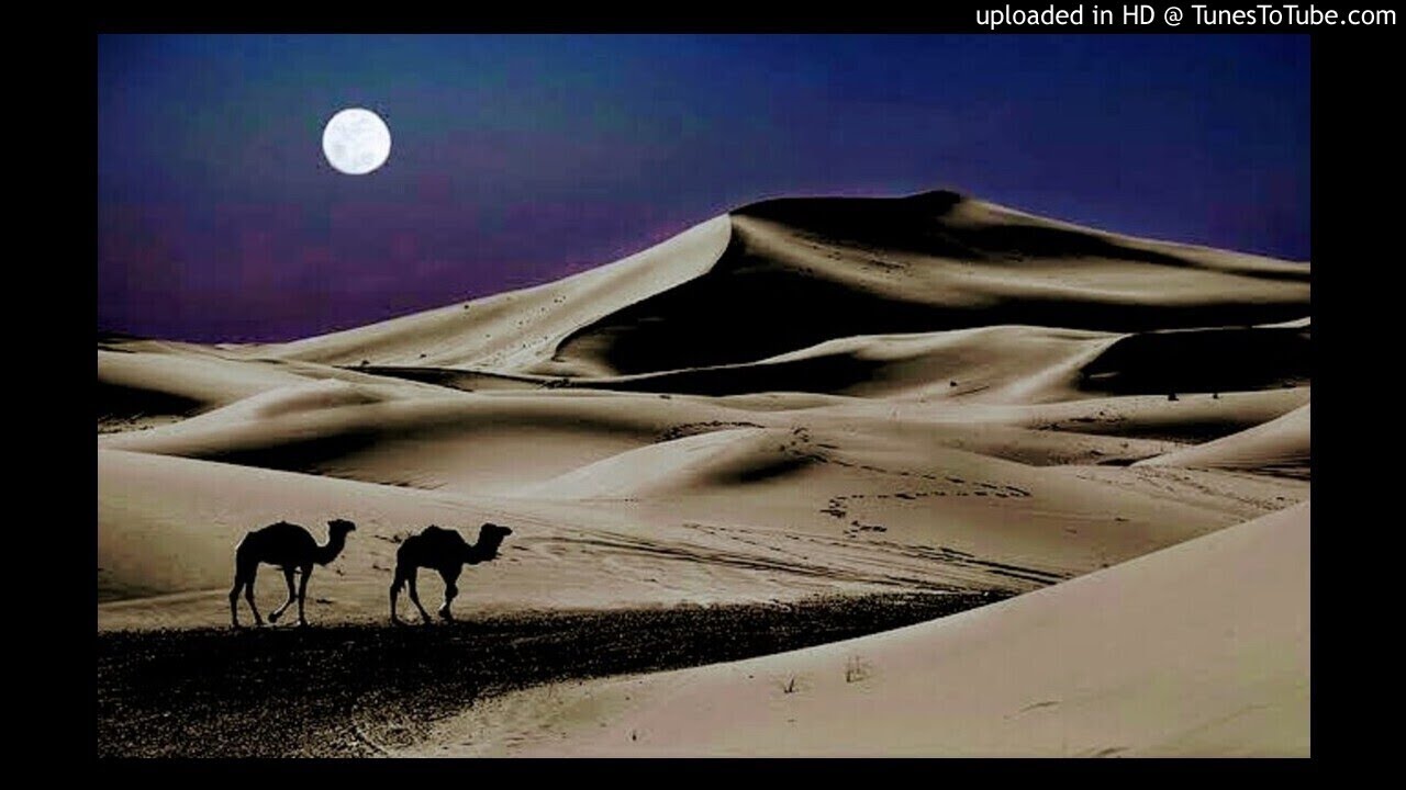 Караван ночью на глазах. Пустыня ночью. Ночи в пустыне прохладные. Черная пустыня. Луна в пустыне.