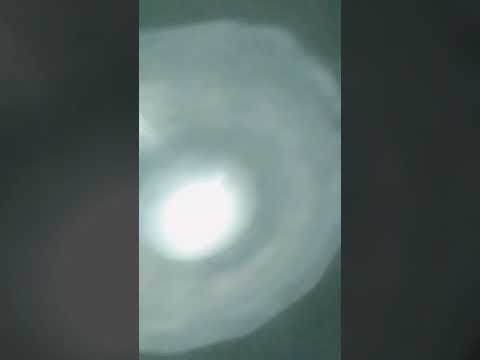 ١ نوفمبر ٢٠٢٤