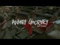 Anhey ghorhey da daan theatrical trailer