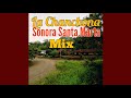 CONJUNTO SONORA SANTA MARTHA MIX - PEGADITAS Y BUENISIMAS