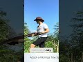 Black Friday Prep Stocking Up &amp; Moringa Tree Assessment