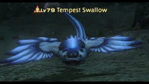 FFXIV Endwalker Gil Making Guide Part Two: Sea Swallow Skin