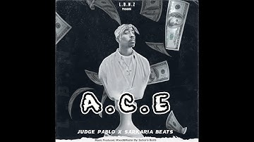A.C.E / Judge Pablo X Sarkaria Beats (4k Video)