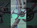 This is the best road bike under $1000 #roadbike