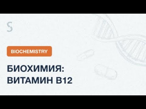 USMLE Step 1 - Биохимия: Витамин В12 | Тест Шиллинга