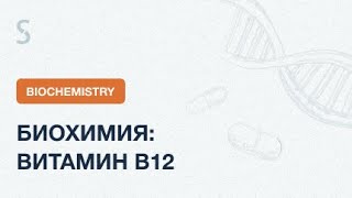 USMLE Step 1 - Биохимия: Витамин В12 | Тест Шиллинга