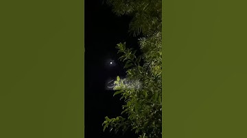 القارئ : إسلام صبحي ﴿ وَلَا تَهِنُوا وَلَا تَحْزَنُوا وَأَنتُمُ الْأَعْلَوْنَ ﴾[ سورة آل عمران: 139]