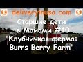 Клубничкая ферма: Burrs Berry Farm. Старшие дети в Майами #10