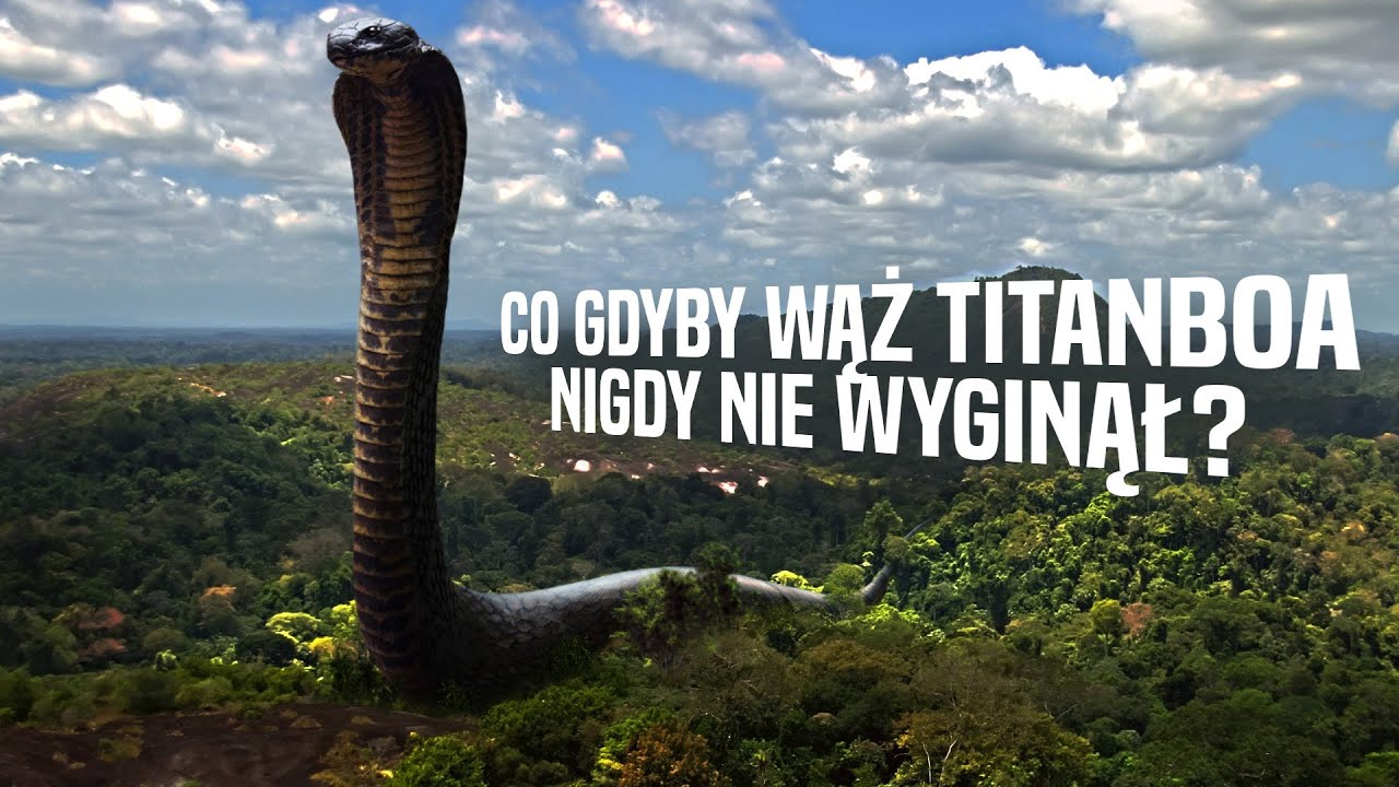 Co Gdyby Wąż Titanboa Nigdy Nie Wyginął