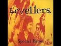 The Levellers - Where The Hell Are We Going To Live? (Paul Wright)