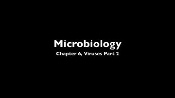Microbiology Chapter 6, Viruses Part 2