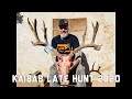 Rutting Mule Deer Late Kaibab 2020! Antler Trader (Guide Life)