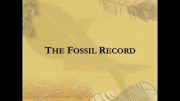 The Fossil Record