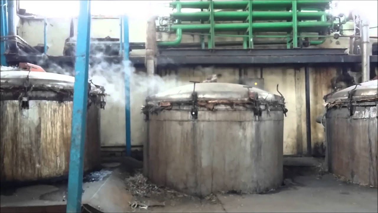 Pabrik Minyak Kayu Putih Krai PMKP Krai YouTube Pabrik Minyak Kayu Putih Krai PMKP Krai YouTube