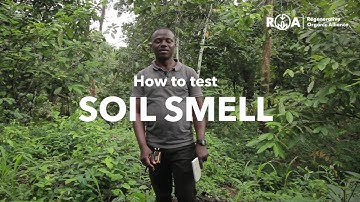 What Soil Smell Can Tell You About Soil Health: Soil Health Tests for Agroforestry Producers