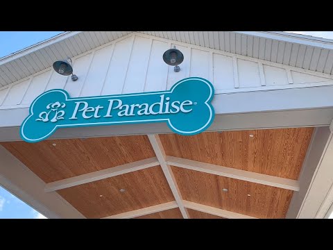 Pet Paradise Virtual Tour! | Boarding • Day Camp • Veterinary Care • Grooming