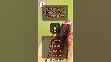 Creepy Crawly Quiz: How Much Do You Know About Insects? 🐜🦋