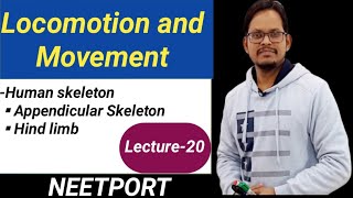 Locomotion and Movement- Appendicular skeleton-Hind limbs|Neet Biology |AIIMS| Hind Limb Bone Ytshorts Bone Bio Biology Bones Study Viral
