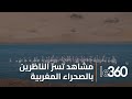 العيون الطيور المهاجرة تتخذ من وادي الساقية الحمراء ملاذا آمنا خلال فصل الشتاء 